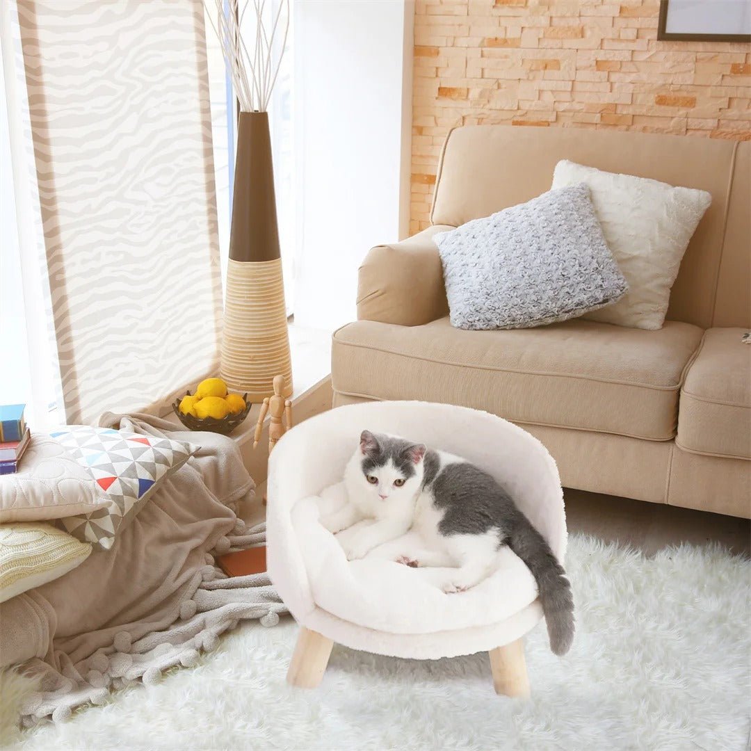 Canapé pour chat | Roudoudou™ - Miss - Tigri