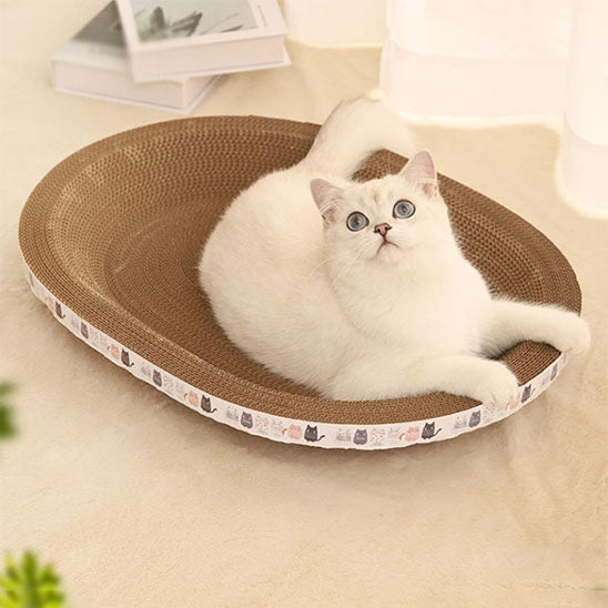 chat assis dans griffoir a chat grattou carton