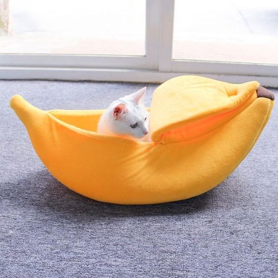 chat blanc cache dans panier pour chat banapouf