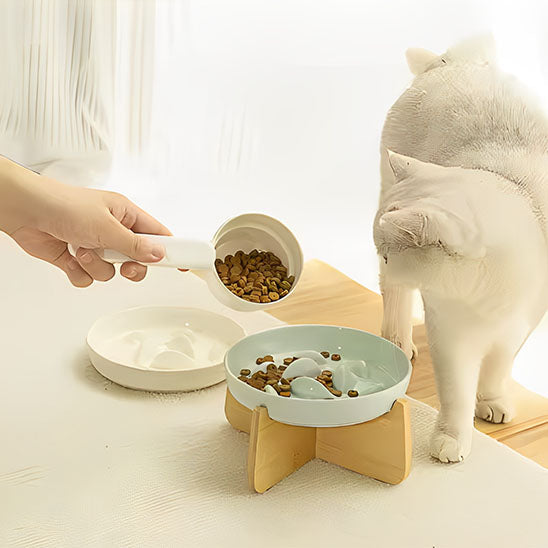 chat blanc qui mange dans gamelle anti glouton chat gluppy verte