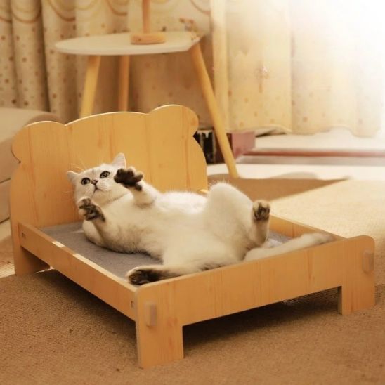 chat calin lit pour chat minibed