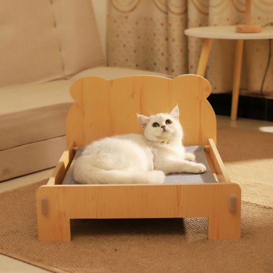 chat dans lit pour chat minibed face