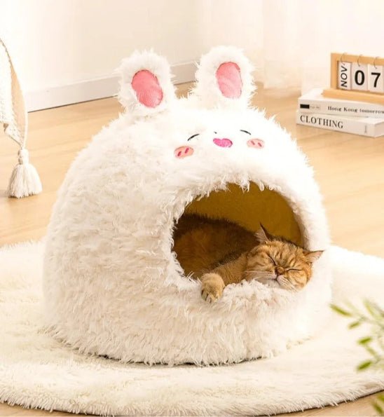 chat dans niche a chat chachoux lapin
