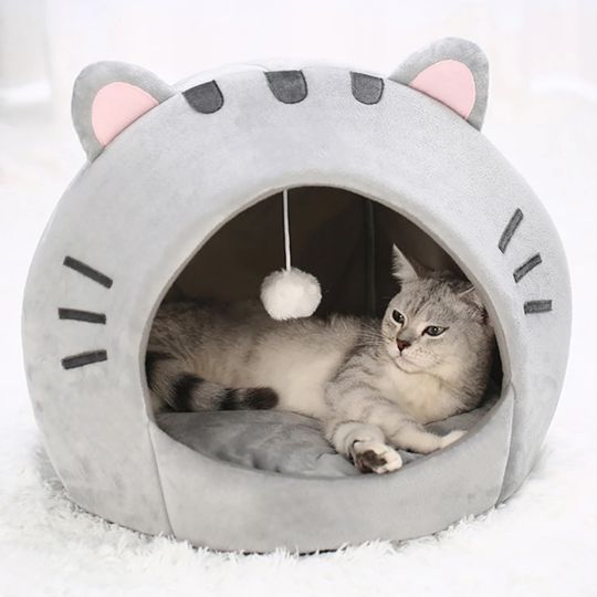chat dans niche pour chat cocominou-douillet