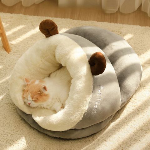 chat endormie dans panier pour chat ronson gris