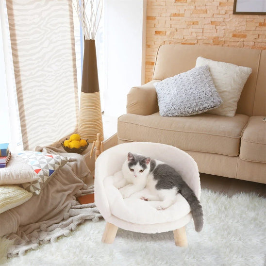 chat gris blanc sur canape pour chat roudoudou