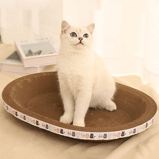chat observe debout sur griffoir a chat grattou