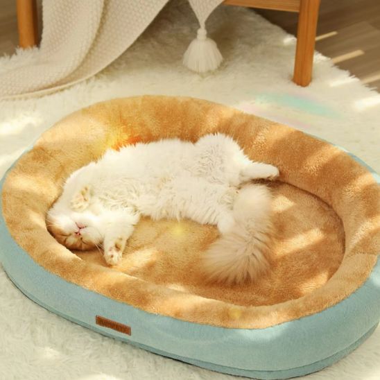 chat prelasse dans panier pour chat purrcocoon vert