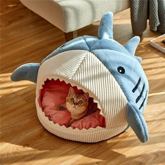 chat roux dans niche pour chat peluchon bleue