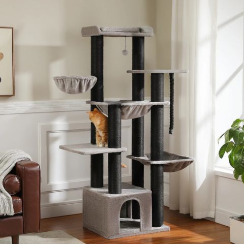 chat roux sur arbre a chat patachou beige