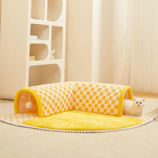 chaton blanc dans tunnel chat grottinou