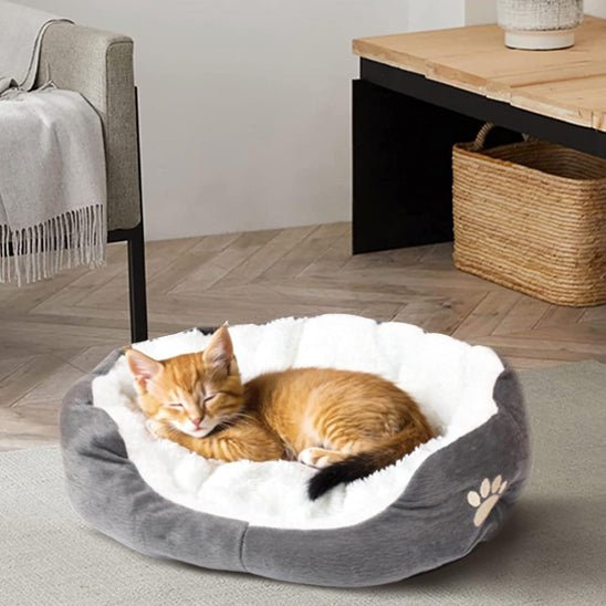 chaton endormi dans panier chat chamalo gris