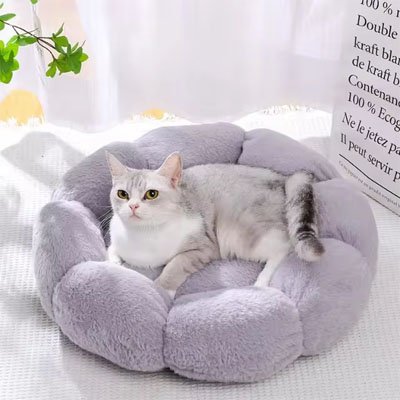Chat de profil sur un coussin pour chat douceurfeline gris, confort rehausse