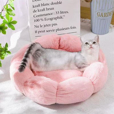 Chat detendu dans un coussin pour chat douceurfeline rose, effet cocon