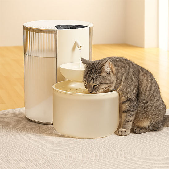fontaine à eau chat aqualy utilisation chat beige
