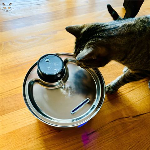 fontaine-a-eau-pour-chat-aquapet-boit