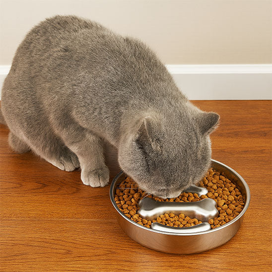 gamelle anti-glouton chat croqbol acier inox