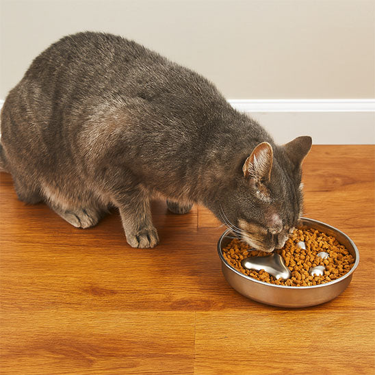 gamelle anti-glouton chat croqbol inox design