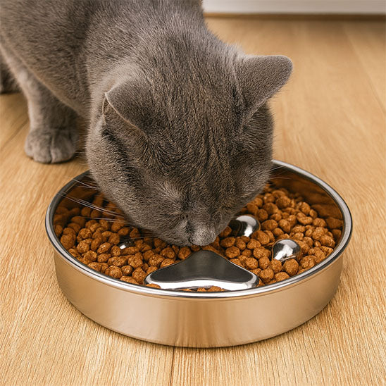 gamelle anti-glouton chat croqbol patte de chat