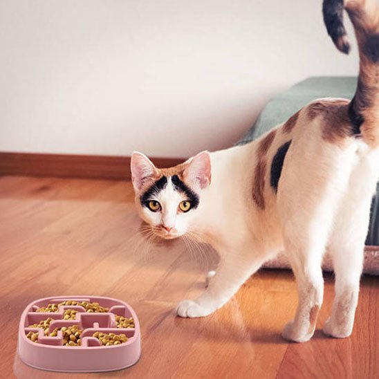 Gamelle anti - glouton chat | Mastigouâą - Miss - Tigri