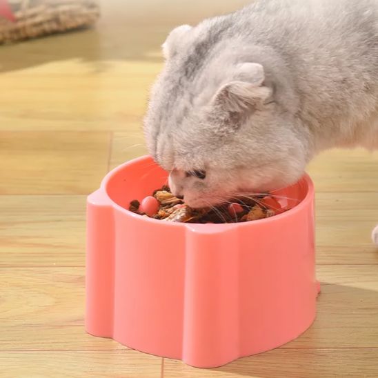 Gamelle anti glouton chat | PetitMiamâą - Miss - Tigri
