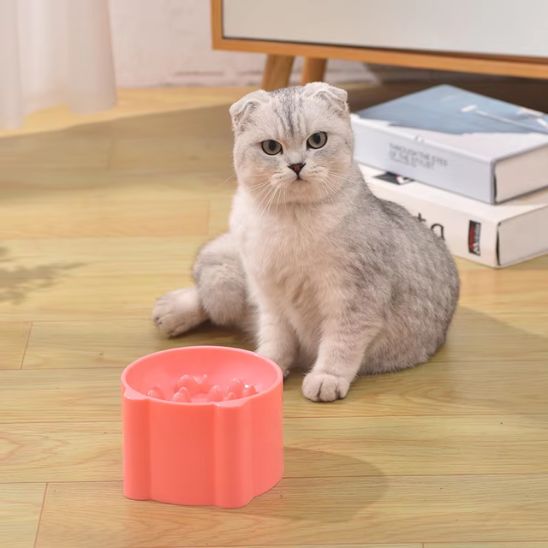 Gamelle anti glouton chat | PetitMiamâą - Miss - Tigri
