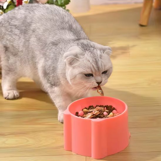 Gamelle anti glouton chat | PetitMiamâą - Miss - Tigri