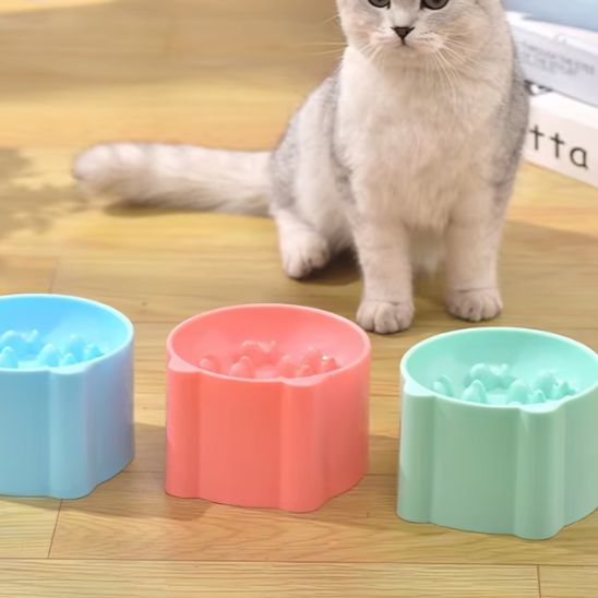 Gamelle anti glouton chat | PetitMiamâą - Miss - Tigri