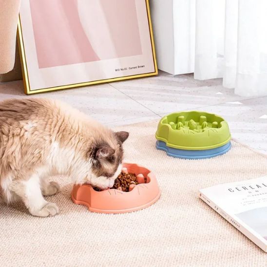 gamelle anti glouton chat raminou chat mange croquettes