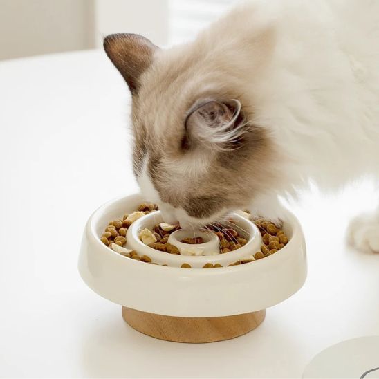 gamelle anti glouton chat tourbi utilisation avec croquettes