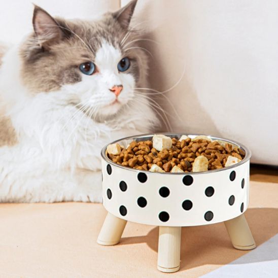 Gamelle chat | Félito™ - Miss - Tigri