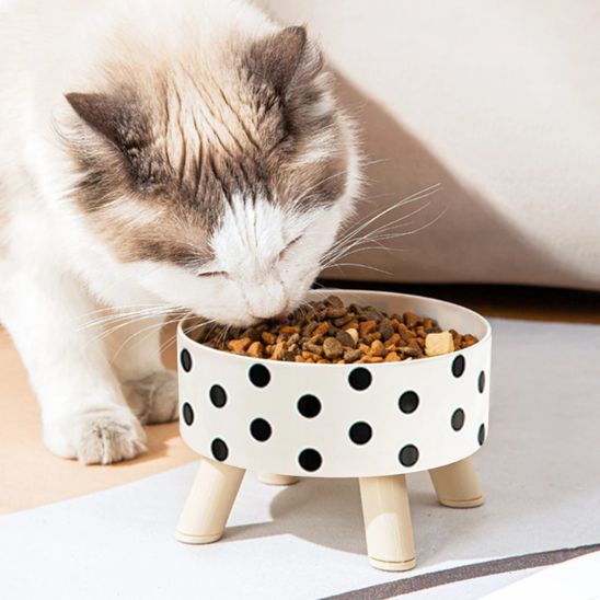 Gamelle chat | Félito™ - Miss - Tigri