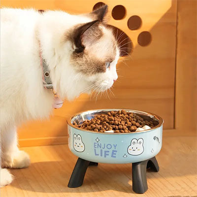 gamelle chat surelevee ergobol repas ergonomique