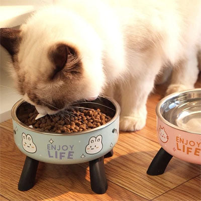 gamelle chat surelevee ergobol usage bleu