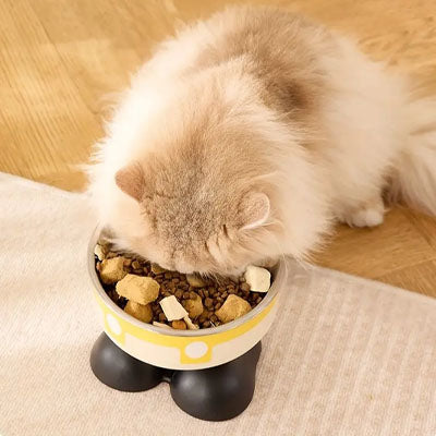 gamelle chat surelevee patibol utilisation chat