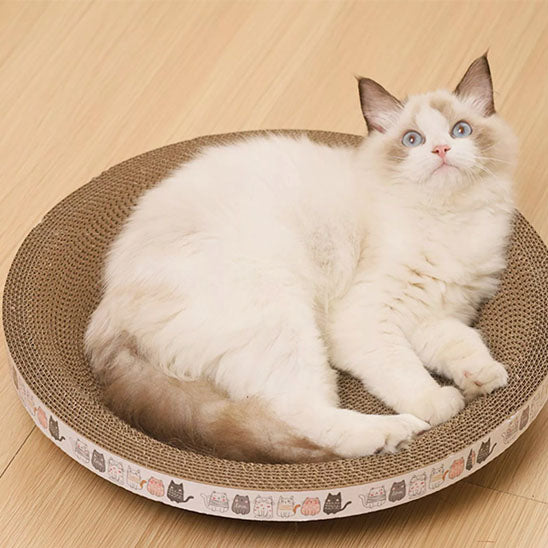 grand chat dans griffoir a chat grattou confortable