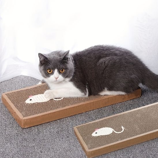griffoir en carton pour chat scratchi avec souris