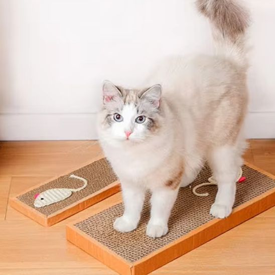 griffoir en carton pour chat scratchi ideal grands chats