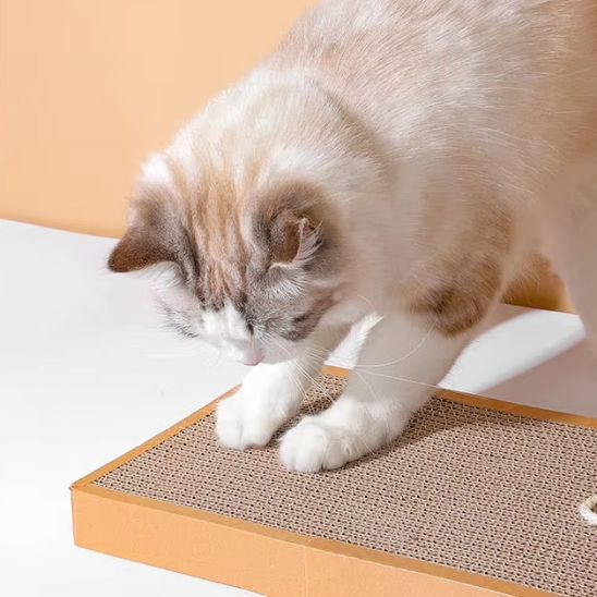 griffoir en carton pour chat scratchi modele plat
