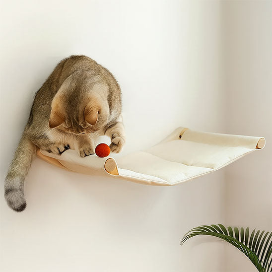 hamac pour chat planchat balle