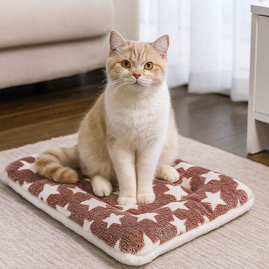lit pour chat douxi beige cosy etoile