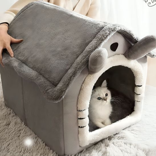 maison pour chat minizou chat blanc interieur