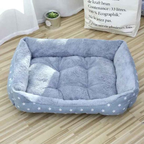 panier chat miaouss etoiles