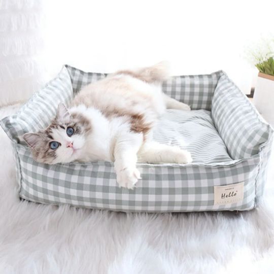panier pour chat grisou chat au repos