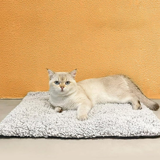 tapis chauffant chat chauffinou antiderapant et chatons