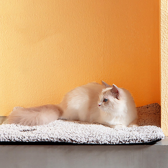 tapis chauffant chat chauffinou chat allonge lateral