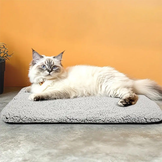 tapis chauffant chat chauffinou confort chat allonge
