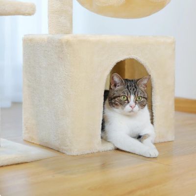 Arbre a chat | Pooky™ - Miss - Tigri