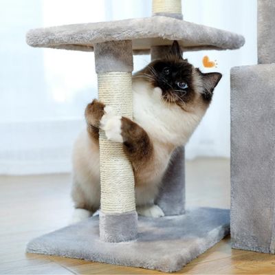 Arbre a chat | Pooky™ - Miss - Tigri