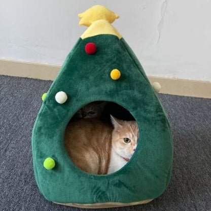 cabane pour chat sapinou avec deux chats dont un roux